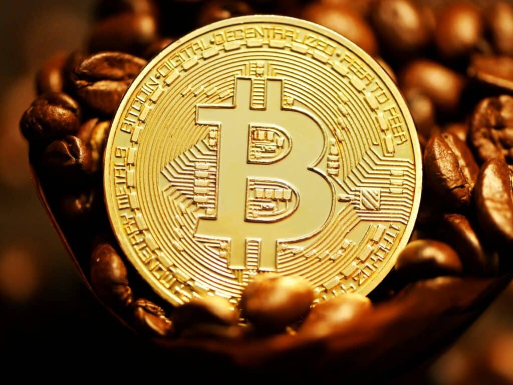 Top 3 staking wallets vergeleken