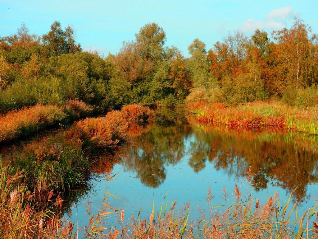 Federal Reserve organiseert consultatie over toezicht op banken en cryptobedrijven