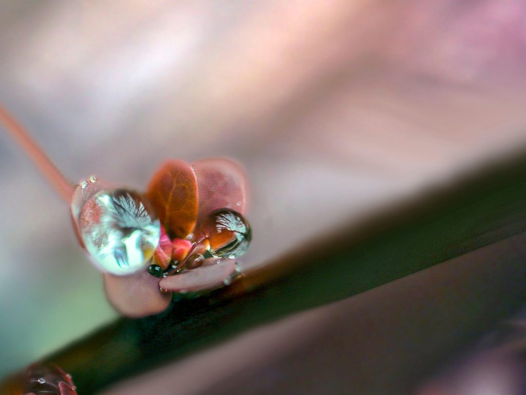 AEX koers herstelt licht na daling, chipsector onder druk