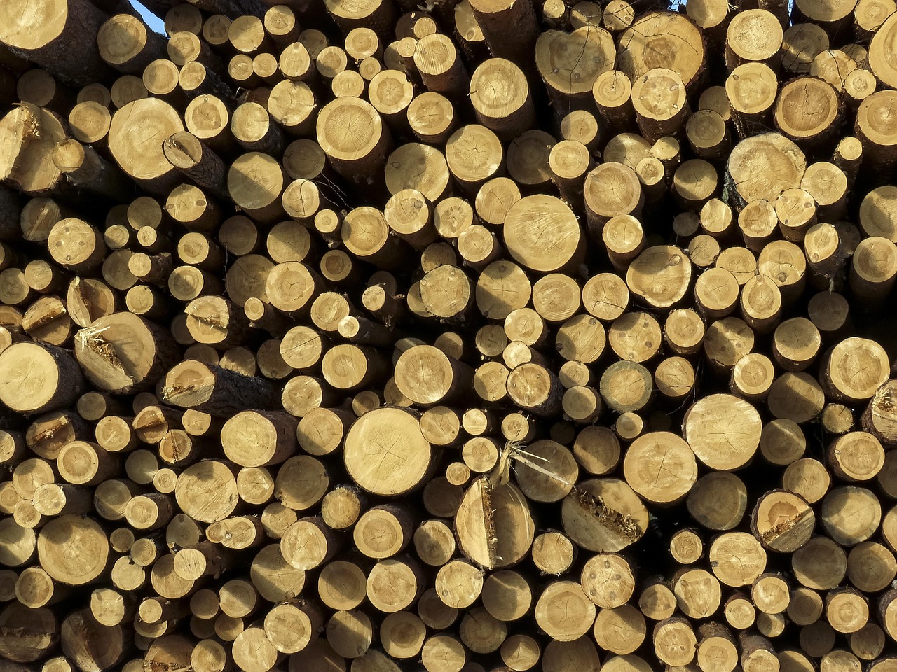 verwachtingen rond de CLARITY Act en de impact op de crypto-industrie