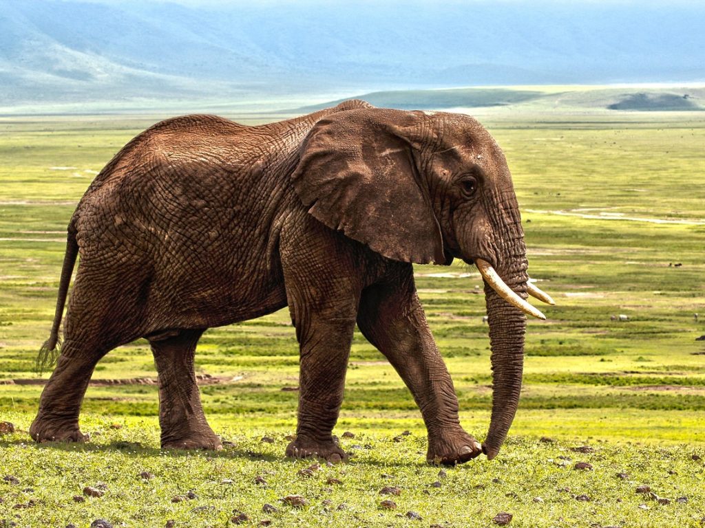 Ethereum Foundation ondersteunt juridische verdediging van Pertsev