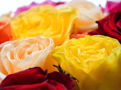 Pepe en de goedkoopste cryptocurrency van vandaag