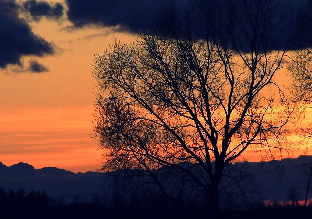 Justin Sun bereikt schikking met SEC en betaalt miljoenenboete