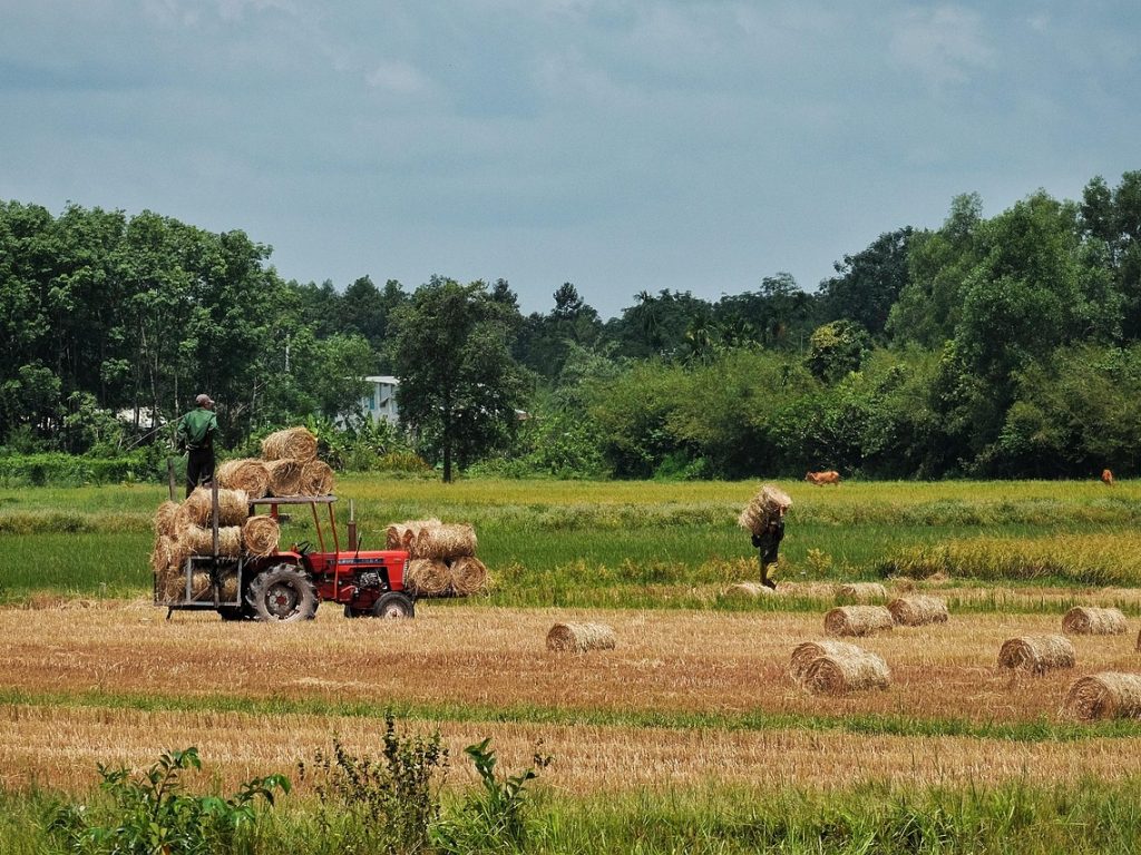 Predict.fun breidt zijn activiteiten uit naar Azië met de overname van Probable