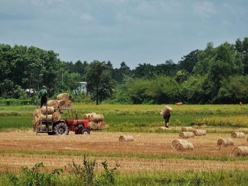 Predict.fun breidt zijn activiteiten uit naar Azië met de overname van Probable