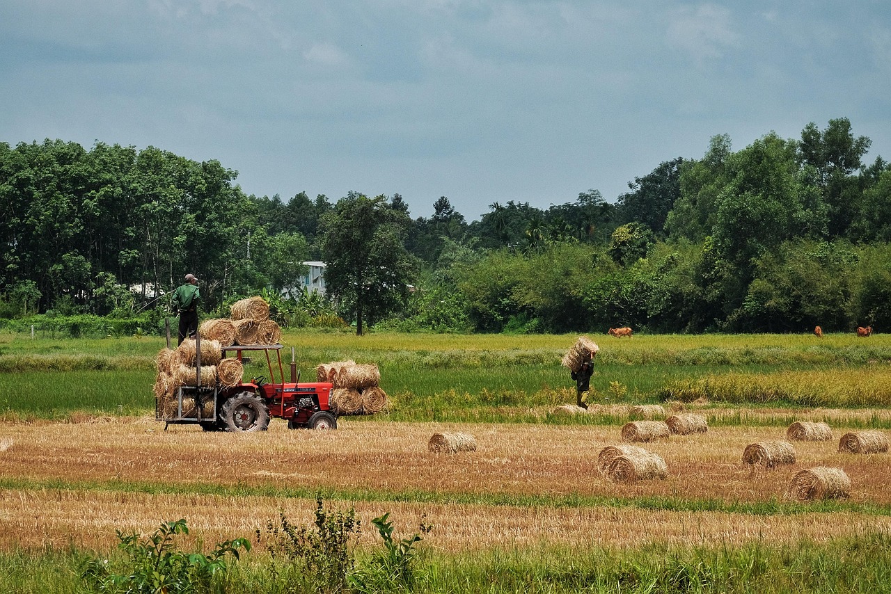 Predict.fun breidt zijn activiteiten uit naar Azië met de overname van Probable