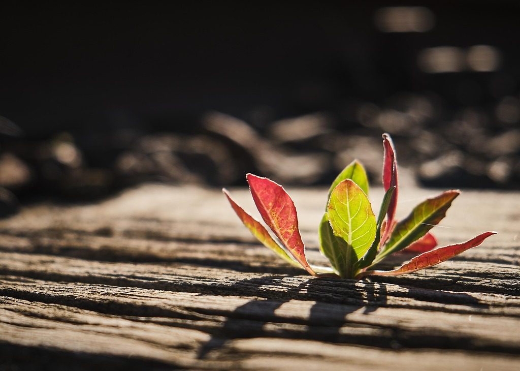 Bijna $1 miljard aan crypto-investeerders keert terug naar de markt
