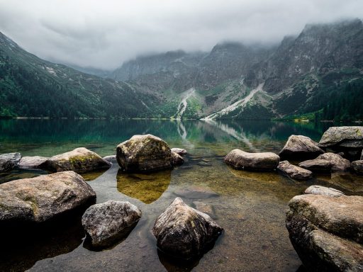 RippleX versterkt beveiliging van XRP Ledger na ontdekking kwetsbaarheid