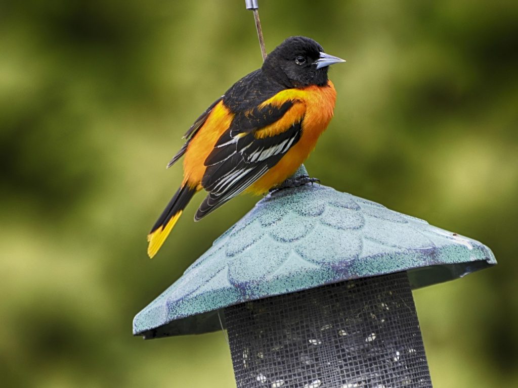 Cryptomarkt toont veerkracht te midden van wereldwijde economische onrust