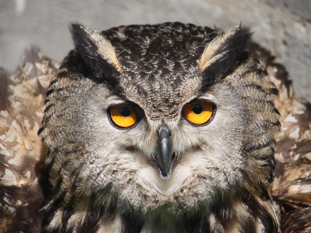 Beleggers keren terug naar cryptofondsen na weken van uitstromen