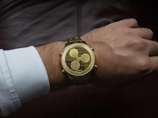 de cruciale rol van interoperabiliteit in de adoptie van digitale assets