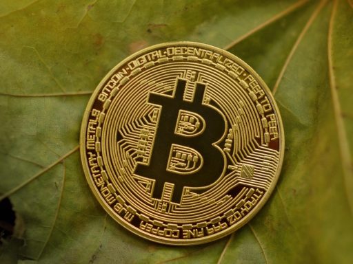 Toename van kapitaal in Bitcoin ETF’s bereikt $462 miljoen