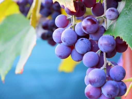 Toename van crypto-investeringen in oliehandel via Hyperliquid