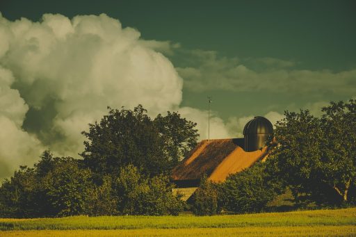 Vooruitzichten voor XRP koers tot eind maart 2026