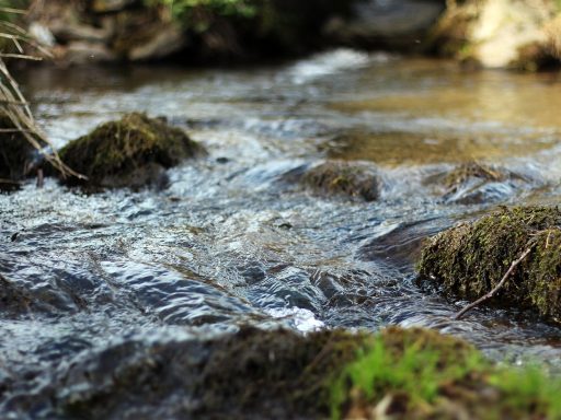 Flow altcoin stijgt met meer dan 60% op Bitvavo