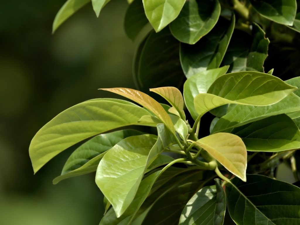 Solana-netwerk stimuleert aandelenstijgingen in crypto-infrastructuurbedrijven