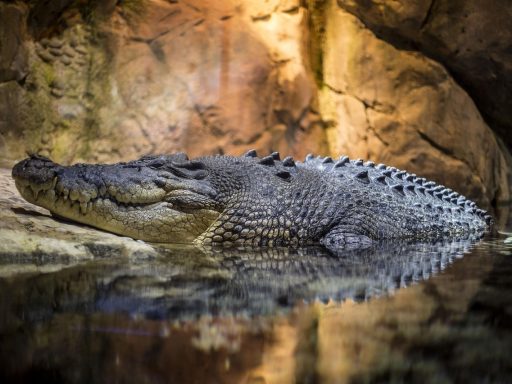 Nieuwe regels voor crypto-data-uitwisseling in de EU