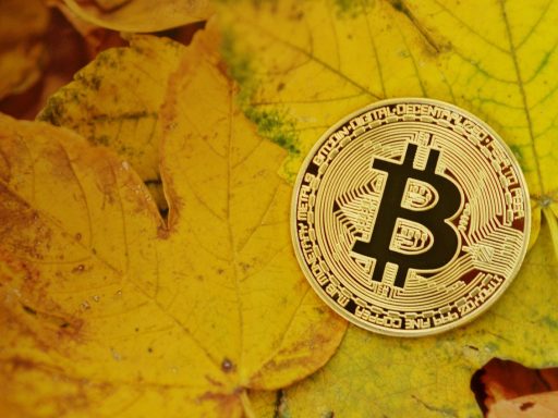 Veelvoorkomende oorzaken van een bitvavo storing