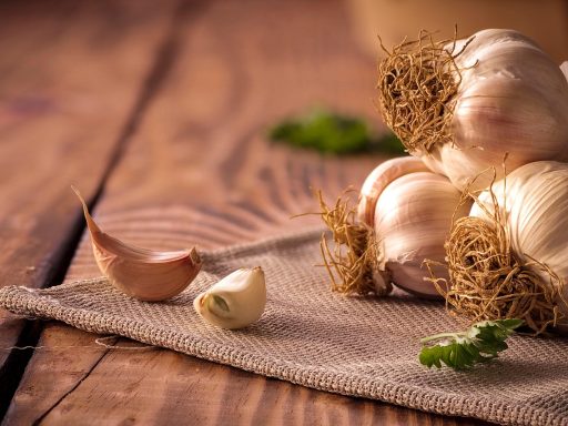 Hoe meld je een bitvavo storing bij de klantenservice?