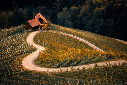 Slovenië introduceert gereguleerde stablecoin en traditionele banken betreden cryptomarkt