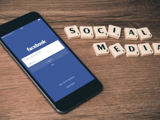 Memecoin Niu Lai stijgt explosief door sociale media hype