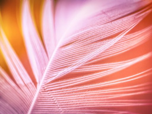Bitcoin koers toont veerkracht temidden van dalende beursindices