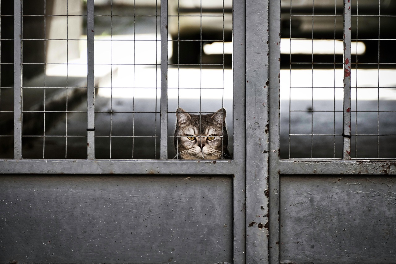 Winstgevende strategieën van hedgefondsen door indexherschikkingen