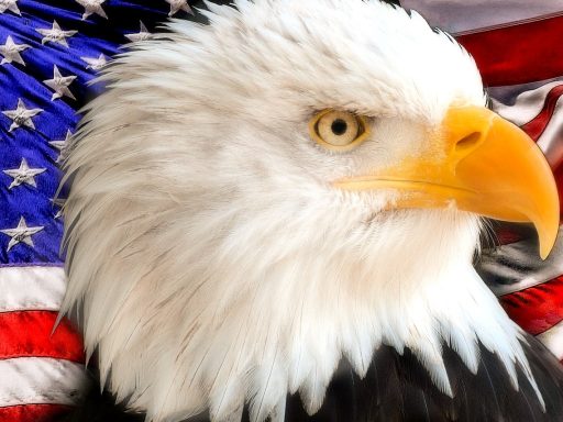 Amerikaanse arbeidsmarkt toont onverwachte daling in banen