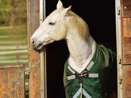 Stapsgewijze handleiding voor het koppelen van je DeFi wallet aan platforms